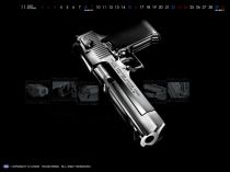 Gun
