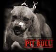 ,,/,,(**),,/,,CLIC,,/(**),,/,,